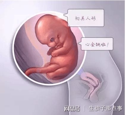 周副主任医师